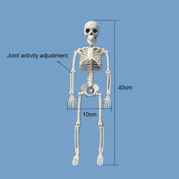 Halloween Dekorácie Simulácia Plastový Skelet Ľudské Kostry Modelu Strašidelný Dom Hrôzy Prop Halloween Veľkonočné Dekorácie